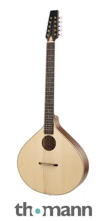 Thomann Artist Irish Bouzouki 10S-PU Autentický