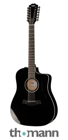 Taylor 250ce-BLK Plus Rychlé Dodání