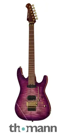 Harley Benton Guitar MAX Fusion Signature PF Speciální Cena