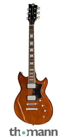 Reverend Bob Balch Violin Brown Must-Have