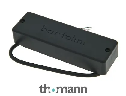 Rychlé Dodání Bartolini 6-string Bass MK Soapbar NB