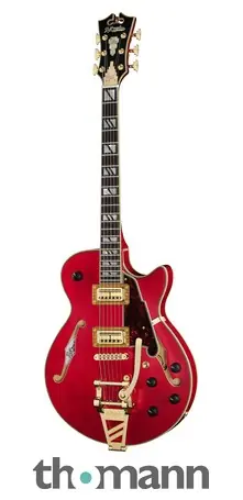 Akční Nabídka DAngelico Deluxe Bobby Weir 3 STW