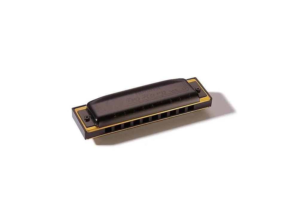 Akční Nabídka Foukací harmonika Hohner Pro Harp Db harmonic minor