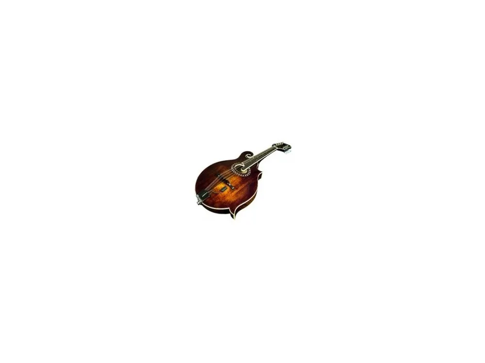 Snímač L.R. Baggs Radius - M, Mandolína Zlevněný
