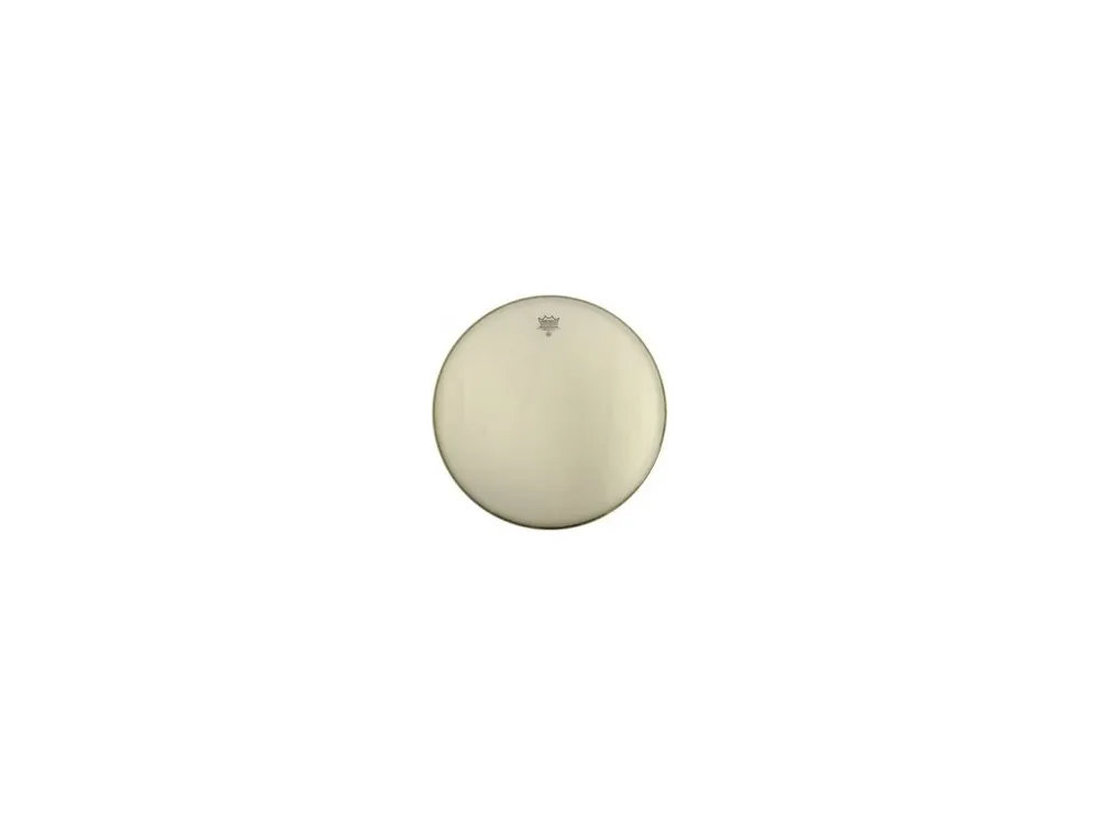 Rychlé Dodání Blána 12" Remo Renaissance Ambassador RA-0012-SS