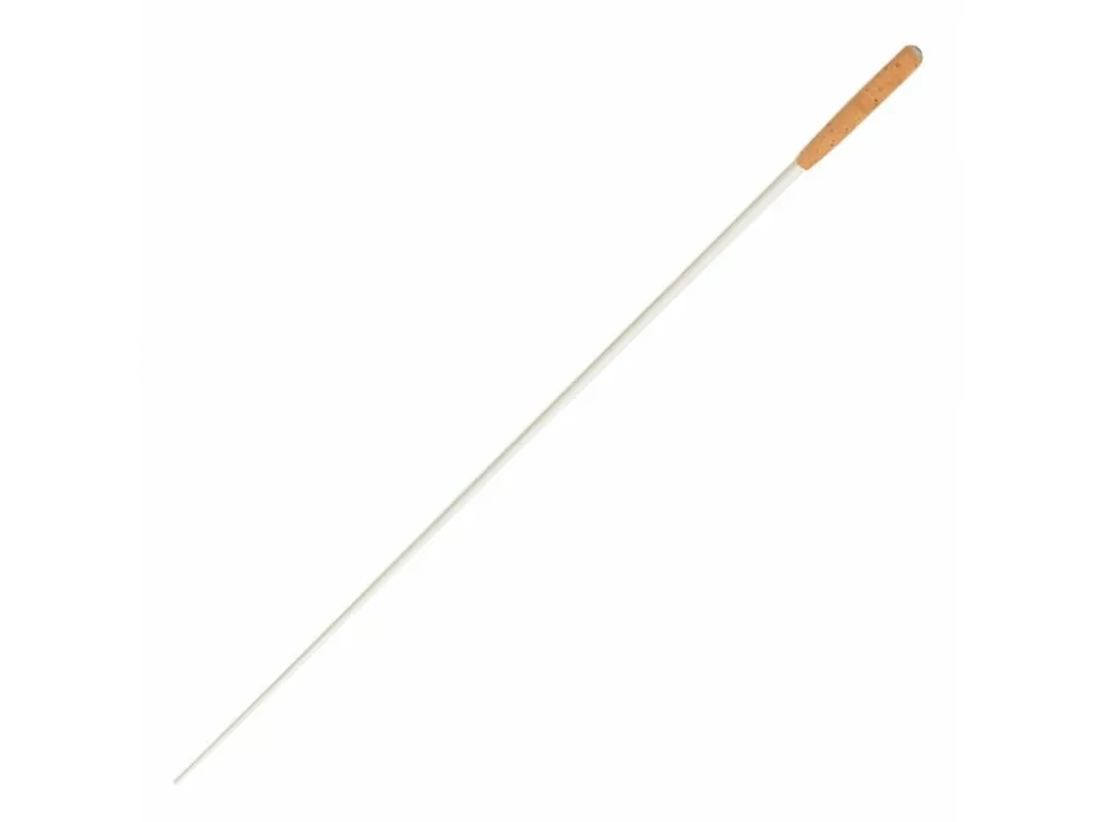 Nejlepší Cena Dirigentská taktovka ROHEMA Beethoven Carbon