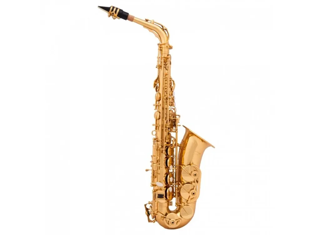 Arnolds & Sons AAS-110 - Altový saxofon Časově Omezené