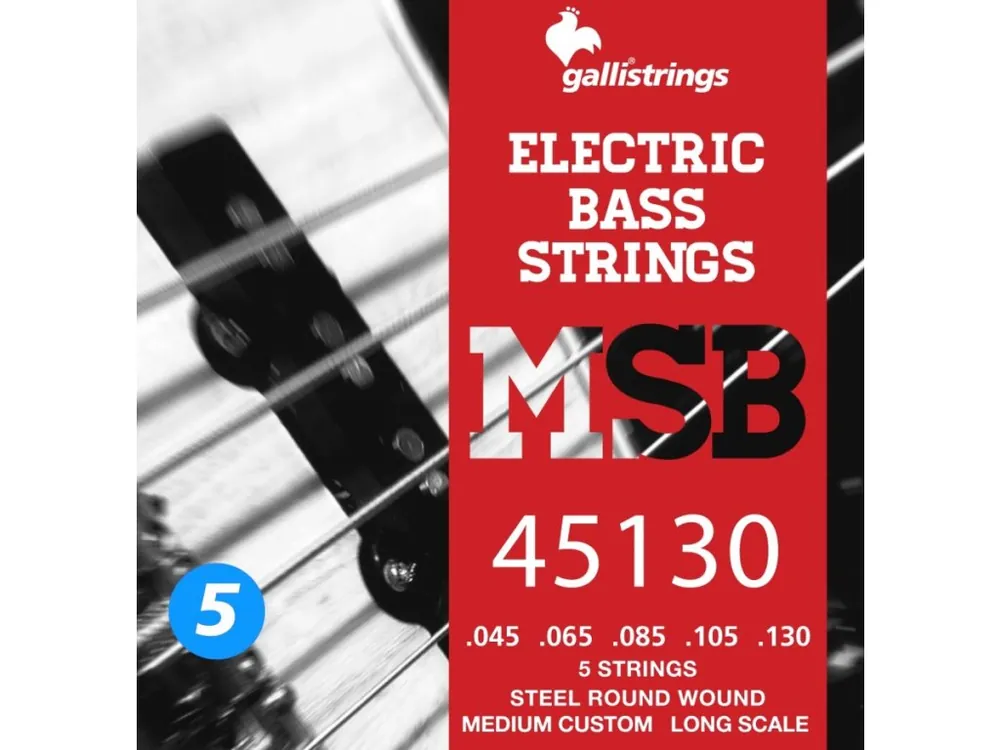 Ihned K Objednání Struny na 5. strunnou baskytaru Galli Magic Sound MSB45130
