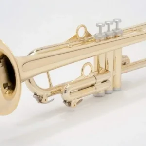 pTrumpet 700635 Must-Have
