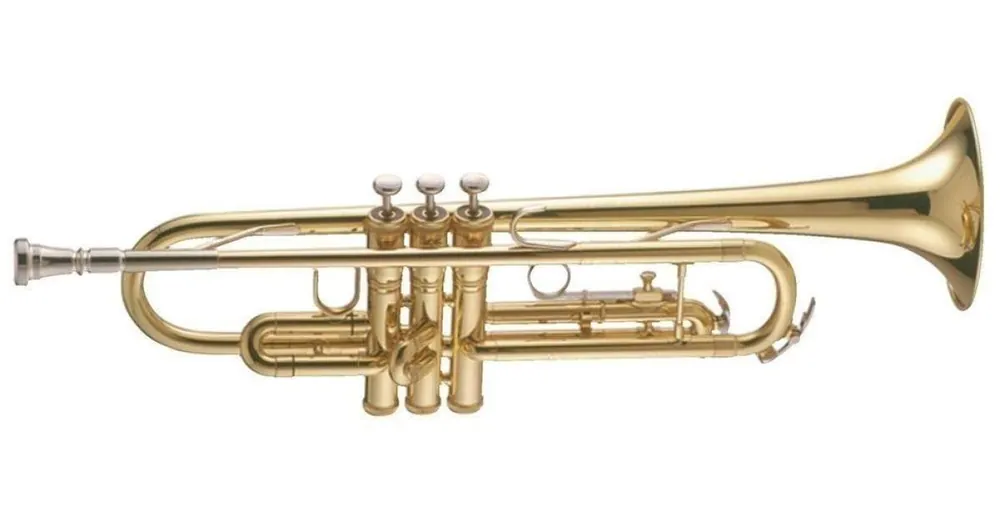 Must-Have King 704501
