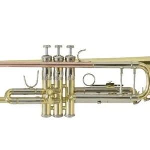 Cenově Výhodný Bach TR501