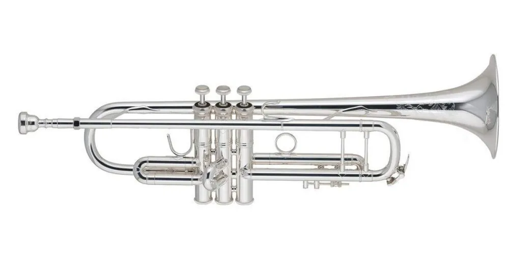 Rychlé Dodání Vincent Bach 706487