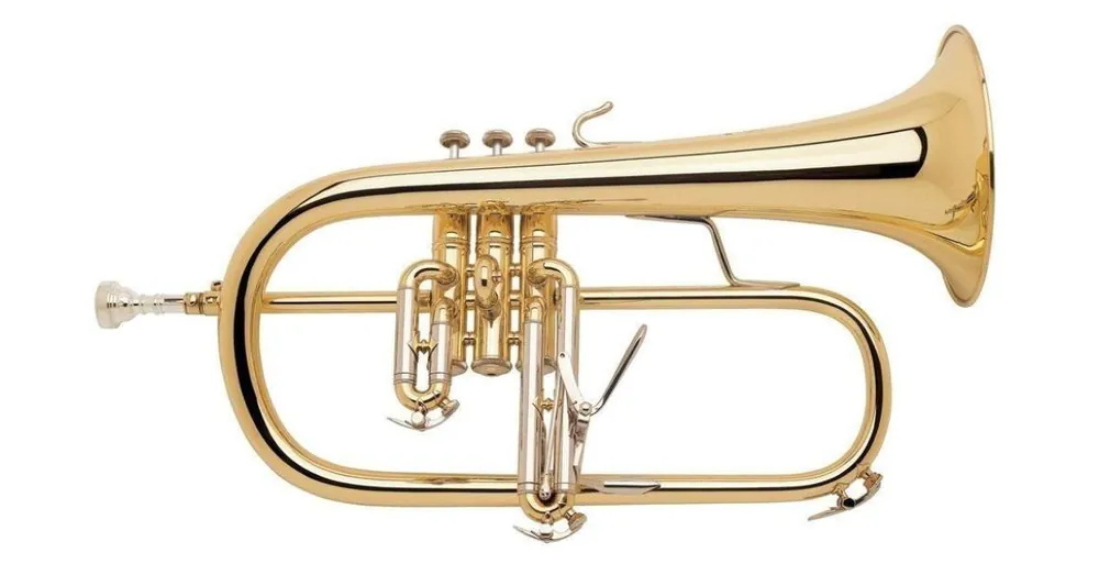 Vincent Bach 706670 Novinka