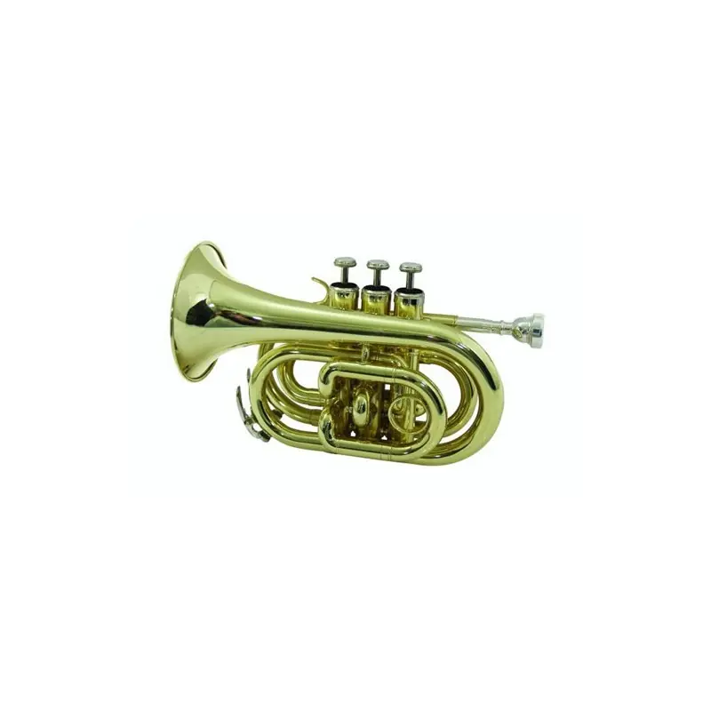 Značkový Dimavery TP-300 B kapesní trubka