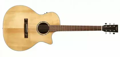 Must-Have Elektroakustická kytara Tasman TA200GS-CE NT