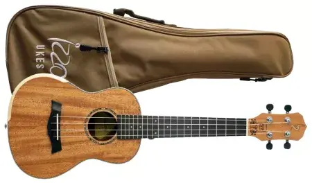 Aktuální Ukulele koncertní Izzo IZ400CM