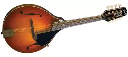 Mandolína Kentucky KM-505 Speciální Cena