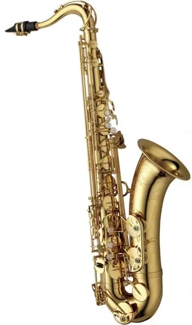 Bb-Tenor Saxofon T-WO1 Professional Koupit Online