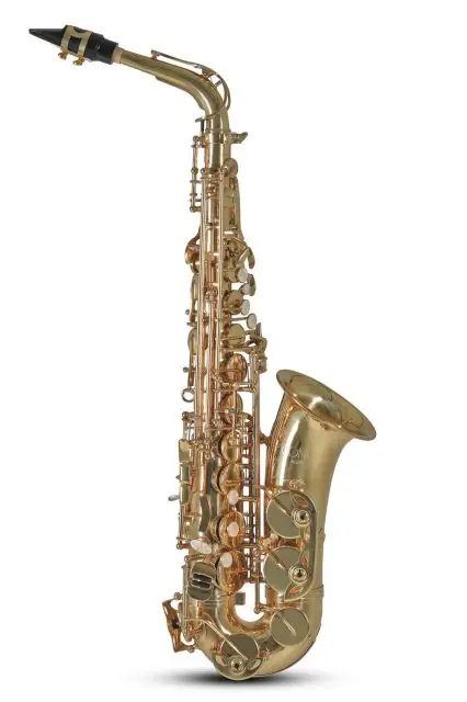 Zlevněný Eb-Alt Saxofon AS501