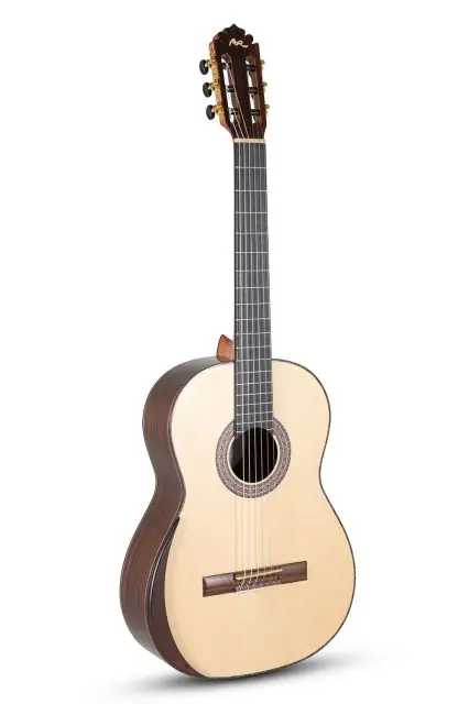 Novinka MAGISTRAL Serie F ind. Palisander all solid