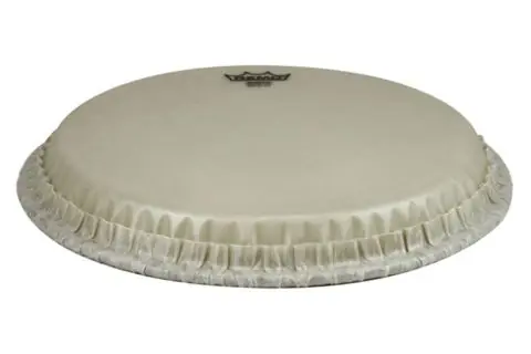 Must-Have Blána pro perkuse Nuskyn Conga