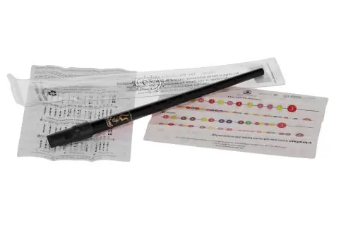Pennywhistle Sweetone Přímo Od Výrobce