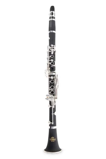 Levný Bb-Klarinet Roy Benson CB-318