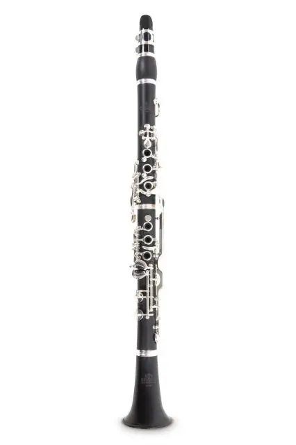 Sleva Bb-klarinet pro děti Roy Benson CG-200B