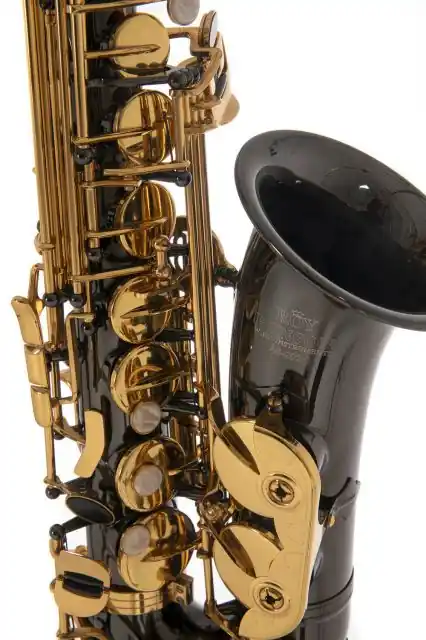 Eb-Alt Saxofon Roy Benson AS-202K Cenový Hit