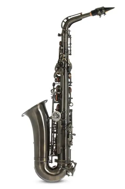 Eb-Alt Saxofon Roy Benson AS-202A Cenově Výhodný