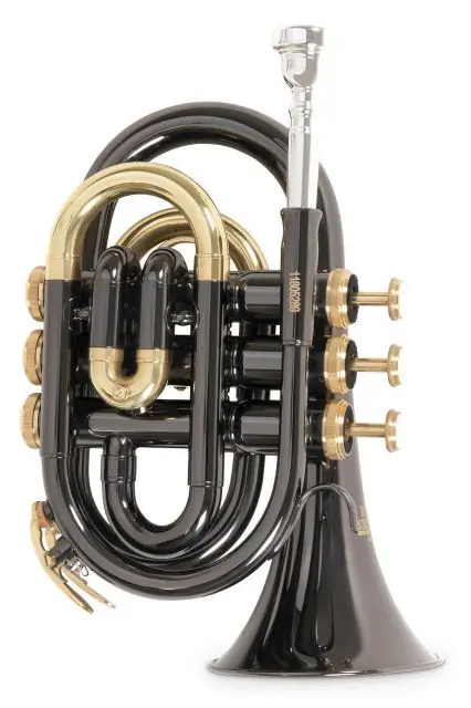 Must-Have Bb – kapesní trumpeta Roy Benson PT-101K