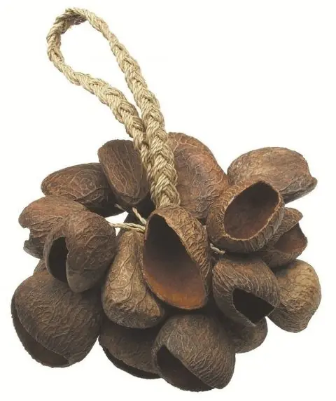 Super Cena Shaker Seed Shell