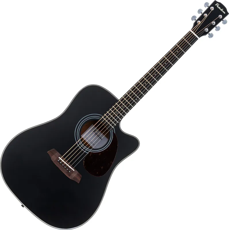 Zlevněný Pasadena PDC-200 Black Akustická kytara