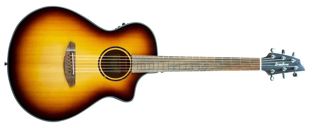 Breedlove Discovery S Concert Edgeburst CE Aktuální