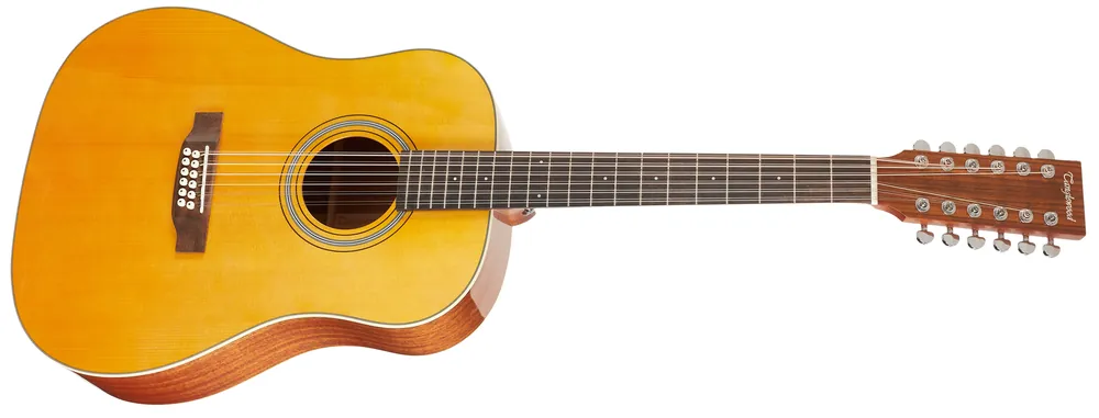 TANGLEWOOD TW40-12 SD AN E Nejprodávanější