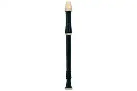 AULOS 211A Robin - Zobcová flétna Must-Have