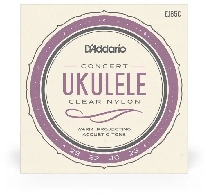 D‘ADDARIO EJ65C Pouze Dnes