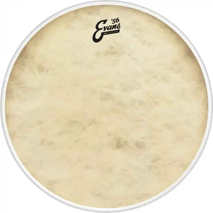 EVANS BD22GB4CT EQ4 ’56 Calftone 22” Bass Rychlé Dodání